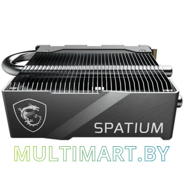 SSD диск MSI Spatium M580 FROZR 4TB (S78-440R110-P83)